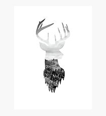 Deer Head Scenic Hills Design Photographic Print