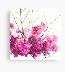 Serene Pink Phalaenopsis Orchids Canvas Print