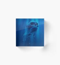 Floating Death Acrylic Block