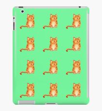 Ginger Cat on green iPad Case/Skin