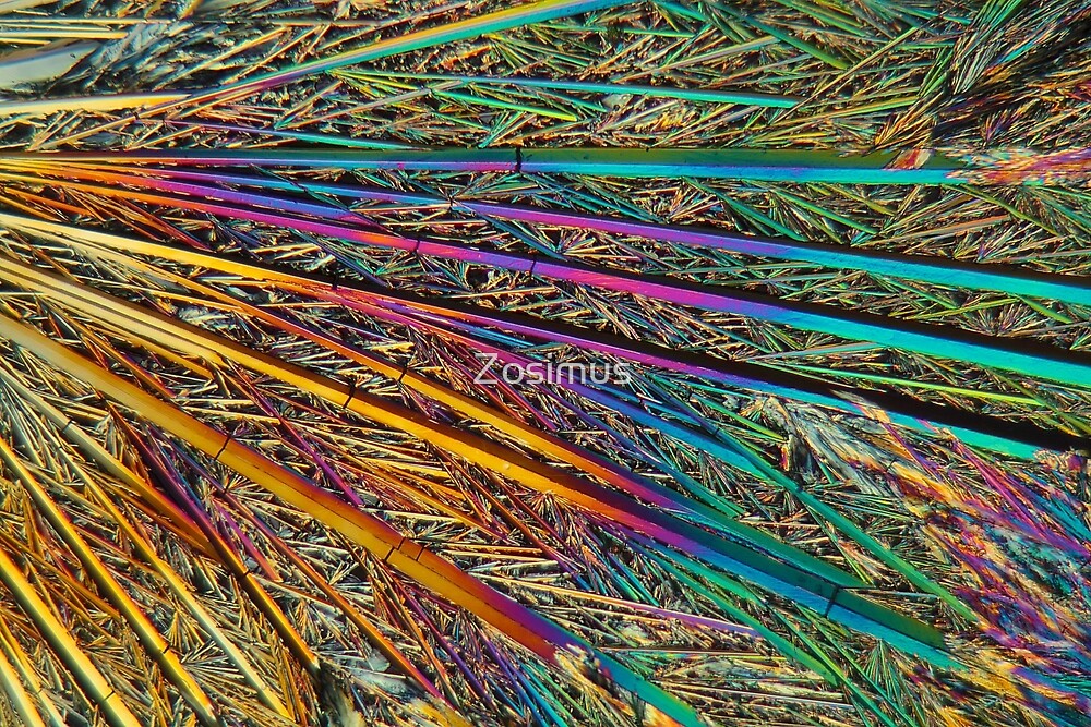 "Vitamin B crystals under the microscope " by Zosimus | Redbubble
