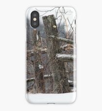 Fence iPhone Case
