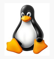 Linux Tux Modern Photographic Print