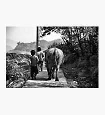 Hi Ho Hi Ho .... Photographic Print