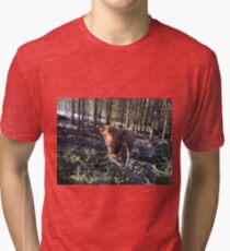 Scottish Highland Cattle Calf 1358 Tri-blend T-Shirt