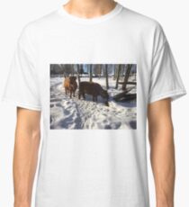 Scottish Highland Cattle Cow and Calf 1361 Classic T-Shirt