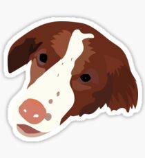 Allie's Dog Sticker