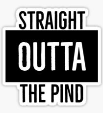 Straight Outta the Pind Sticker