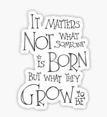It matters not what someone is born Sticker