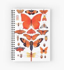 Orange Insect Collection Spiral Notebook