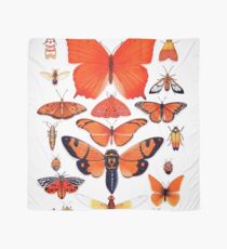 Orange Insect Collection Scarf