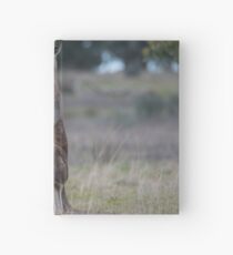 Kangaroo... Hardcover Journal