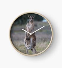 Kangaroo... Clock