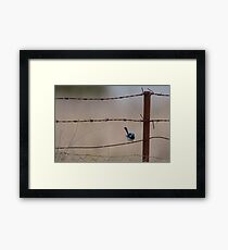 Bird on a Wire... Framed Print