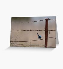 Bird on a Wire... Greeting Card