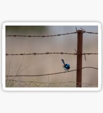 Bird on a Wire... Sticker
