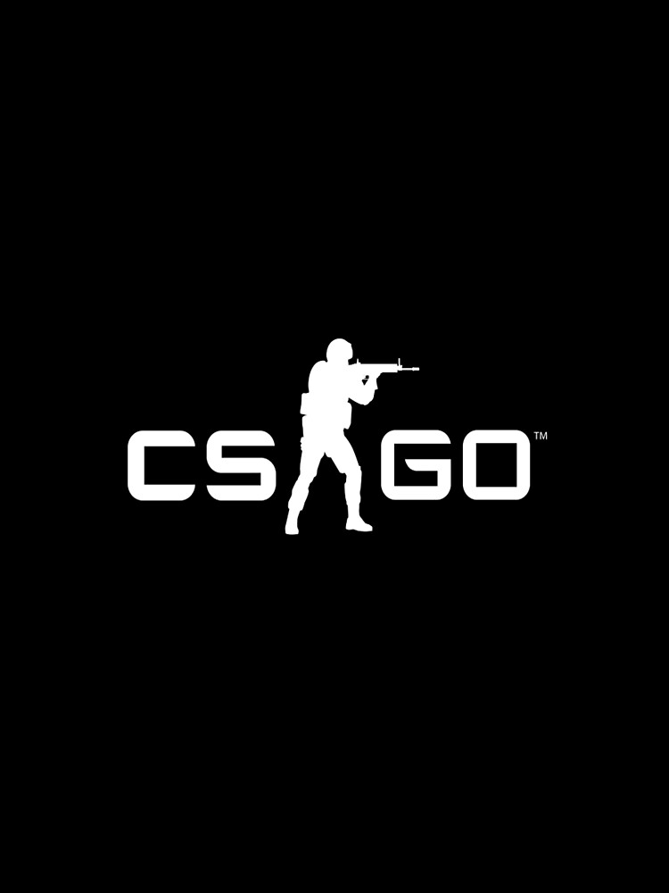 Image result for csgo logo