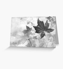 Simple Beauty Speaks Volumes Greeting Card