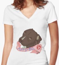 Anti-BSL Women's Fitted V-Neck T-Shirt