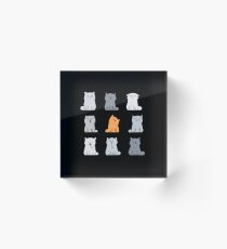 Nine cute kittens Acrylic Block