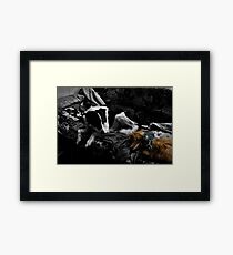 New Friend Framed Print