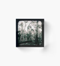 Bush Country Acrylic Block