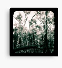 Bush Country Canvas Print