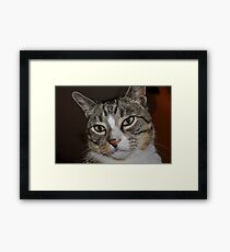 Hey Doll Framed Print