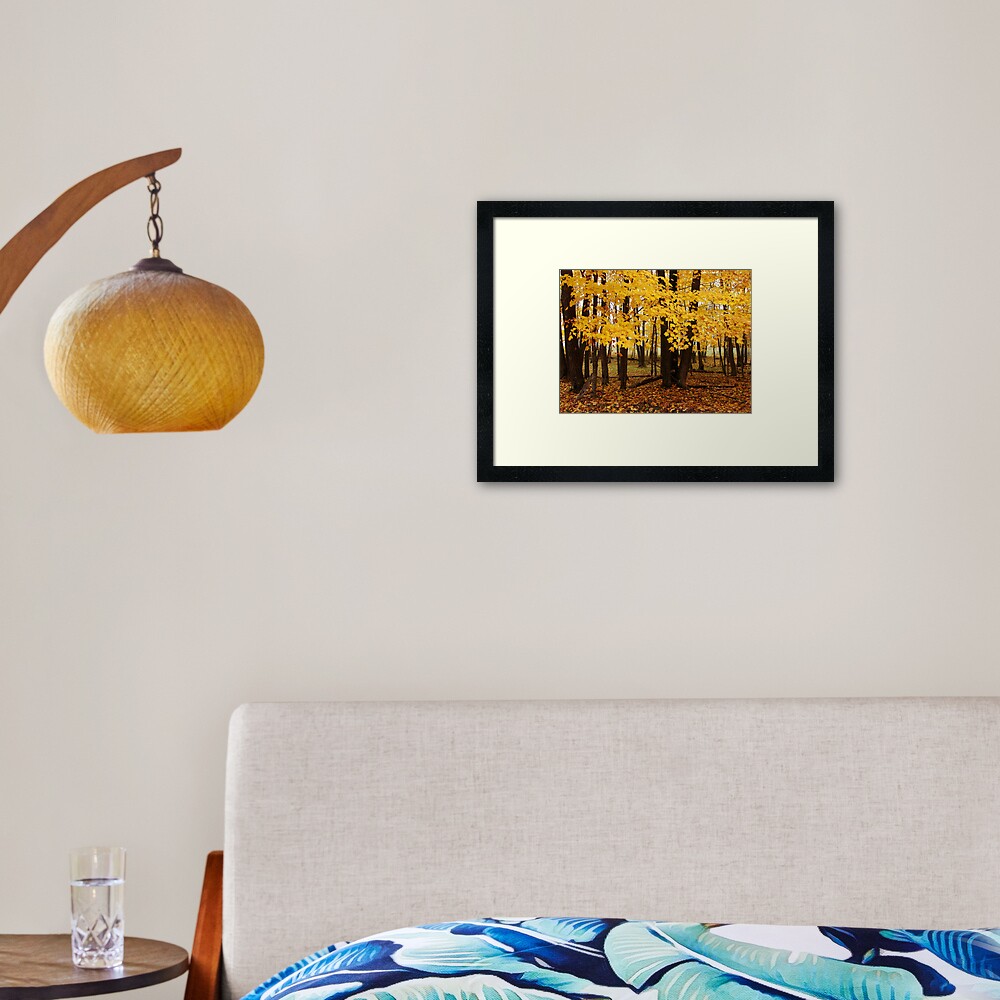 Second Spring Framed Art Print