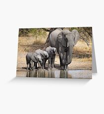 Elephant Mom and Babies Greeting Card