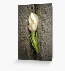 Unposed Greeting Card