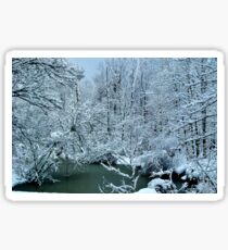 Southern Illinois Winter Scene 2_Dec 2012 Sticker