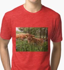 Scottish Highland Cattle Calf 1413 Tri-blend T-Shirt