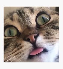 Blep Photographic Print