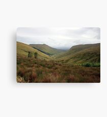 Rural Donegal Canvas Print