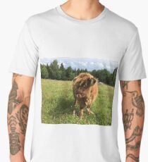 Scottish Highland Cattle Calf 1452 Men's Premium T-Shirt