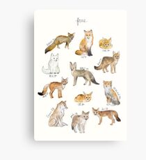 Foxes Metal Print