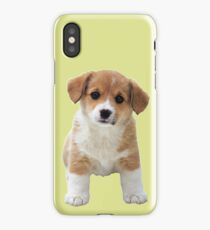 A Little Puppy iPhone Case