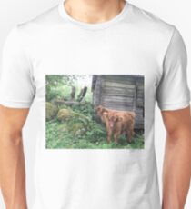 Scottish Highland Cattle Calves 1503 Unisex T-Shirt