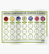 The Chemistry of Flower Aromas Poster