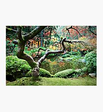 Fallen From Eden Photographic Print