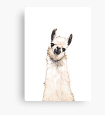 Llama Canvas Print