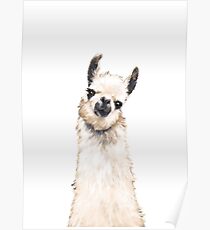 Lama Poster