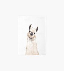 Llama Art Board