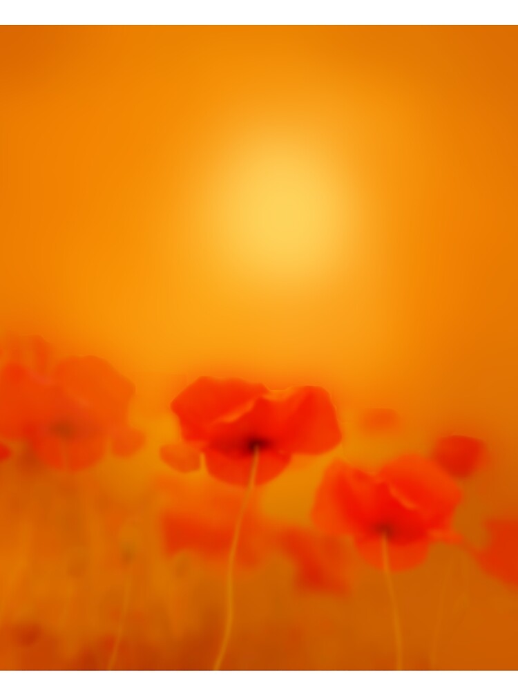 Poppies in gold by valzart