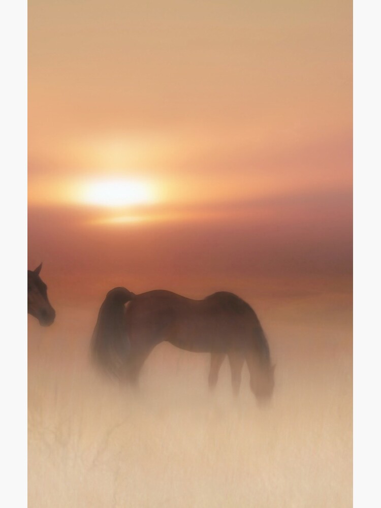 Horses in a misty dawn by valzart