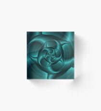 Spiral Pincers Acrylic Block