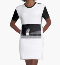 Squirrel Black White Graphic T-Shirt Dress