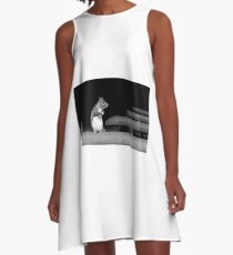 Squirrel Black White A-Line Dress