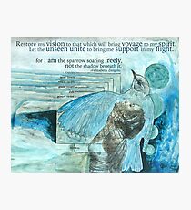 Sparrow Photographic Print